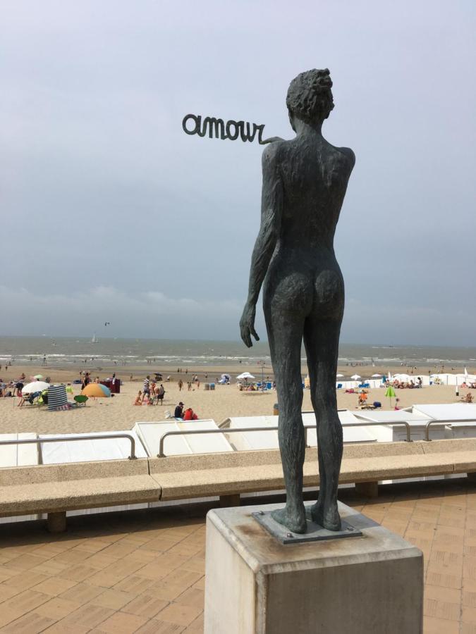 Knus Appartement Met Zicht Op Zeepolder De Haan Bagian luar foto